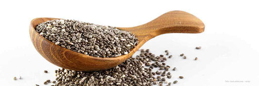 Bio Chia Samen – Dein Superfood