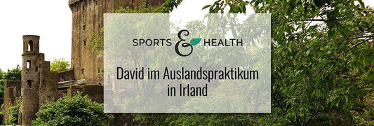 Mein Auslandspraktikum in Irland – David berichtet!