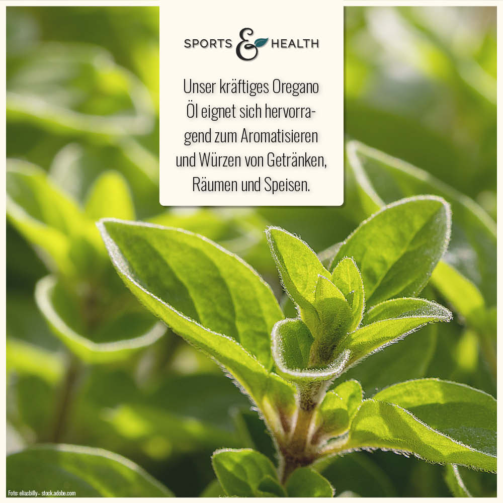Oregano Öl