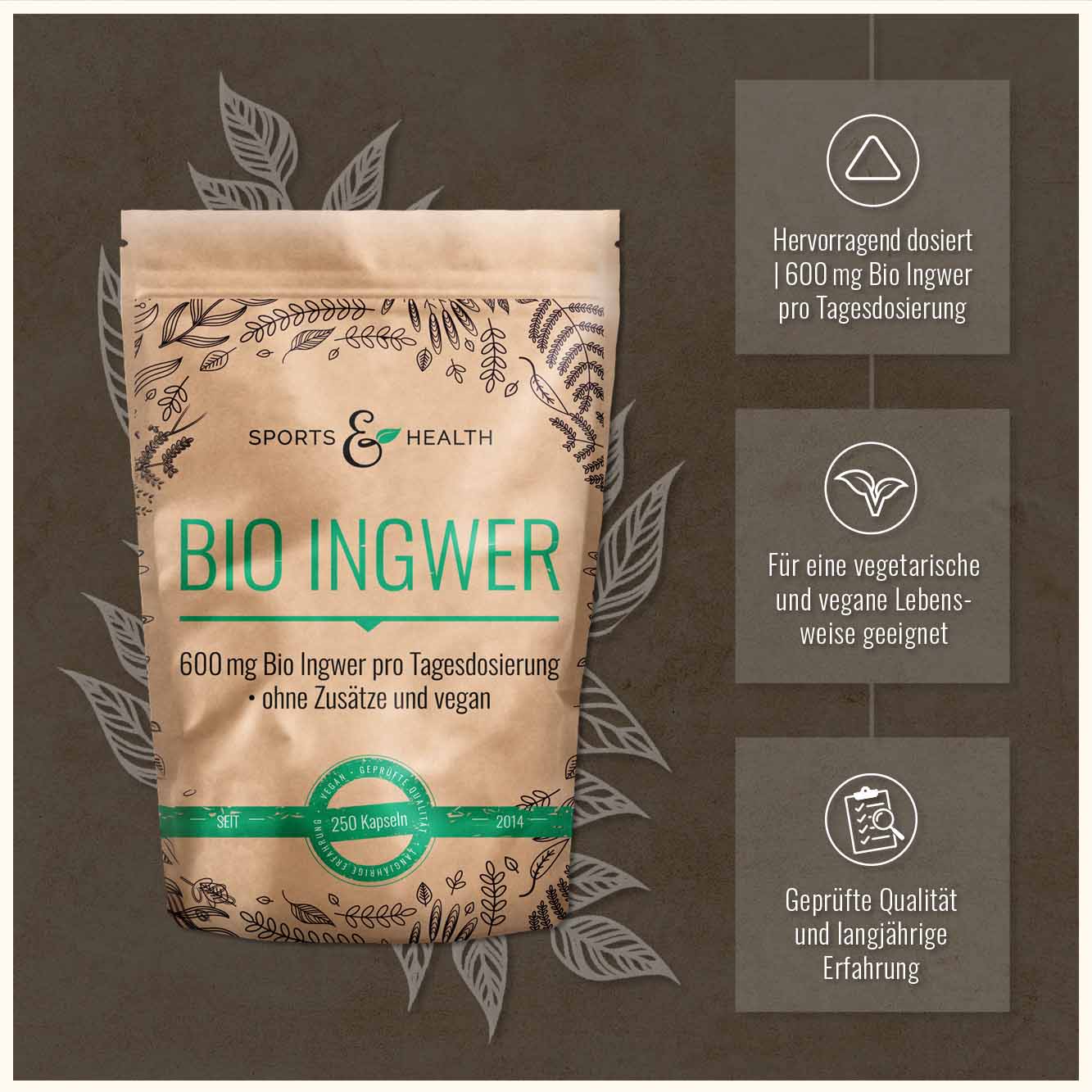 Bio Ingwer Kapseln - DE-ÖKO-005
