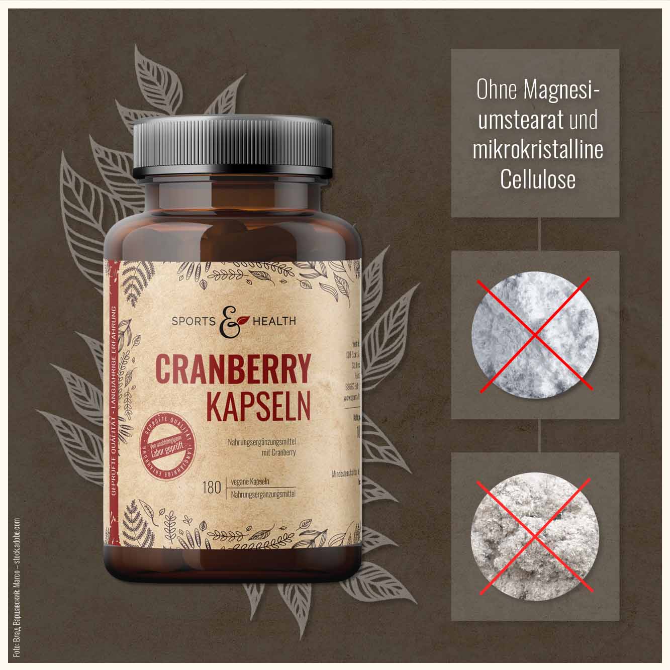 Cranberry Kapseln