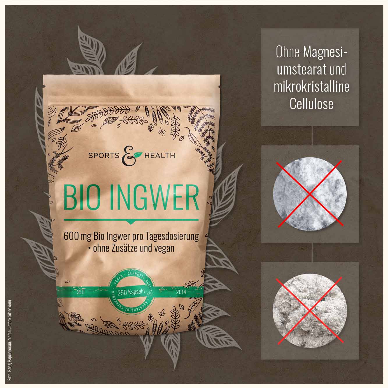 Bio Ingwer Kapseln - DE-ÖKO-005