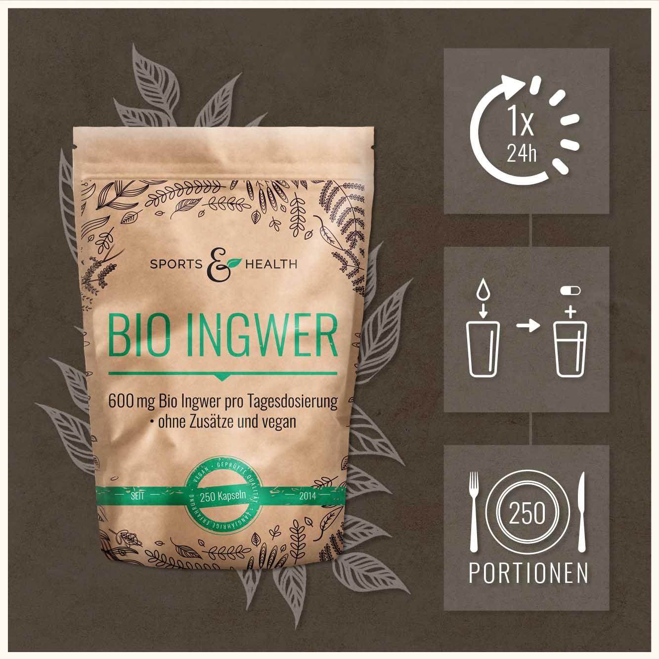 Bio Ingwer Kapseln - DE-ÖKO-005