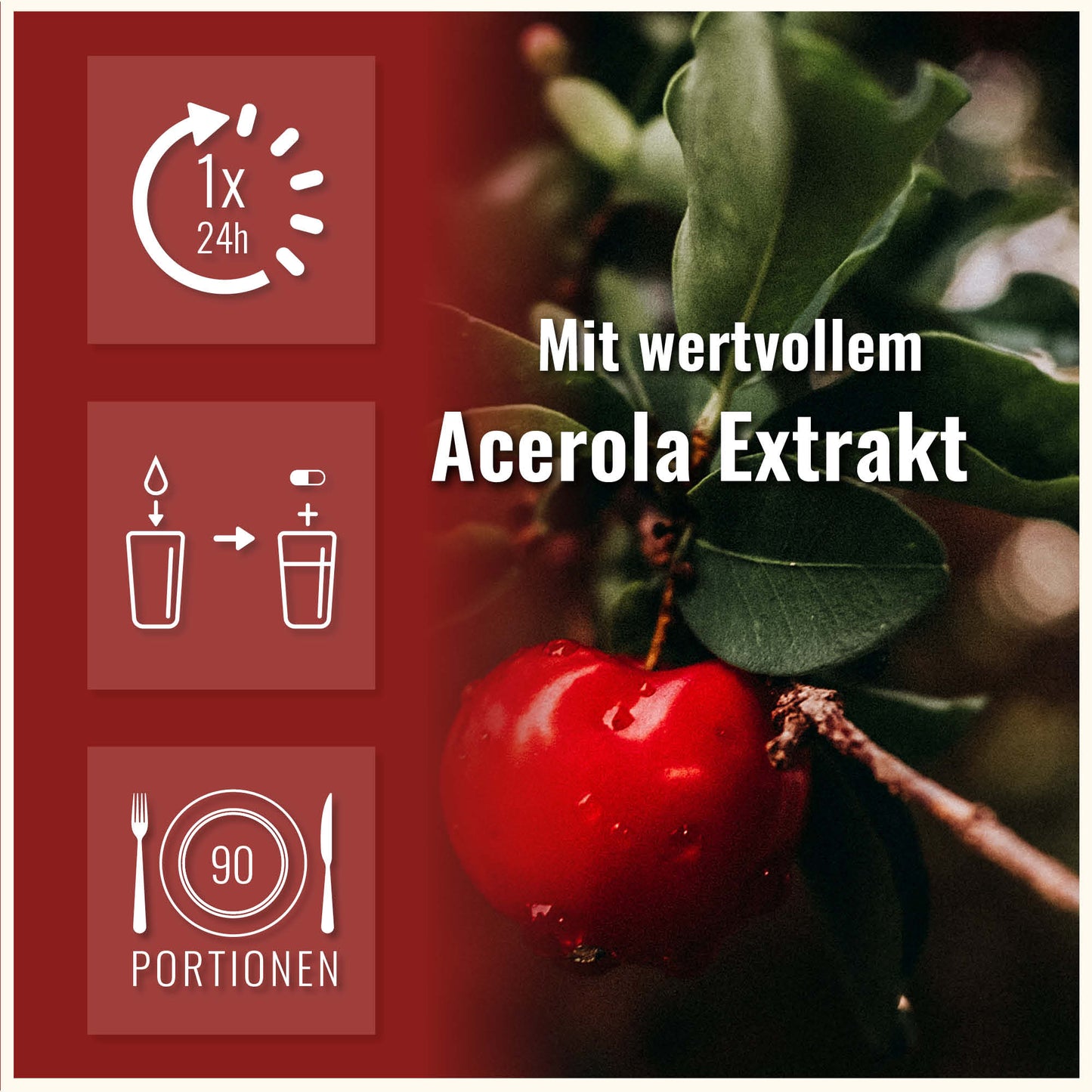 Acerola Vitamin C Kapseln