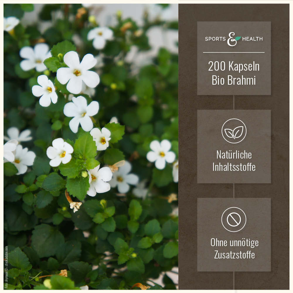 Bio Brahmi Kapseln - DE-ÖKO-005