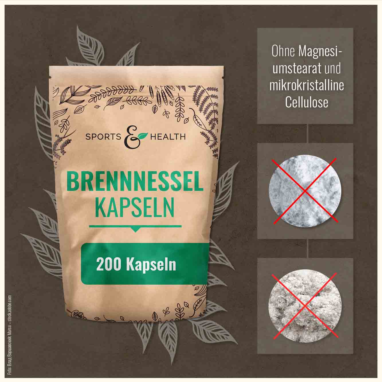 Brennnessel Kapseln
