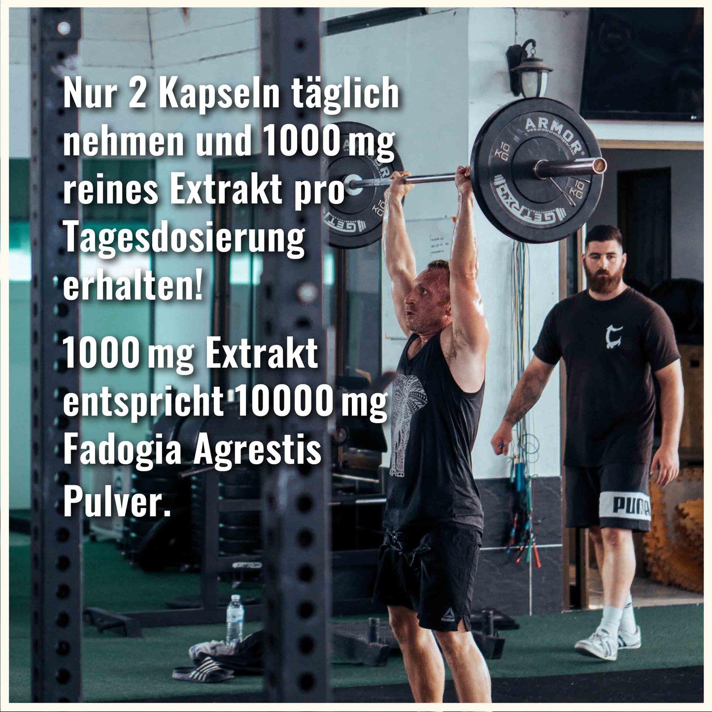 Fadogia Agrestis Kapseln