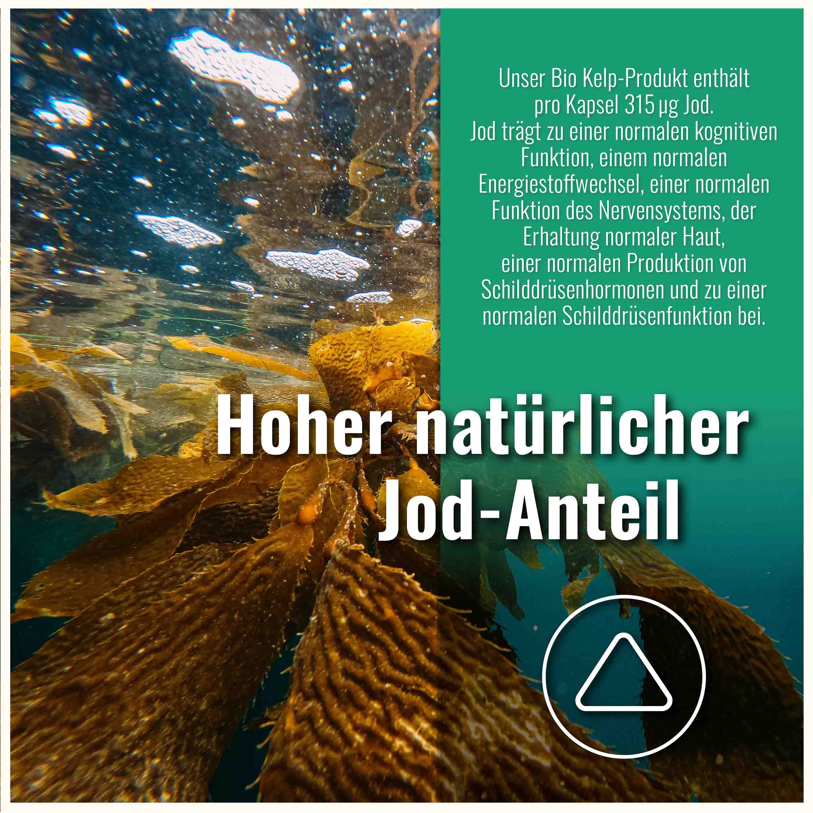 Jod aus Bio Kelp - DE-ÖKO-005 - 250 Kapseln - Natürliches Jod