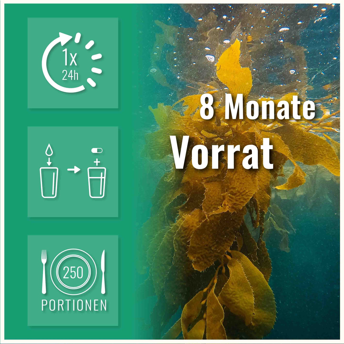 Jod aus Bio Kelp -  DE-ÖKO-005 - 250 Kapseln -  Natürliches Jod