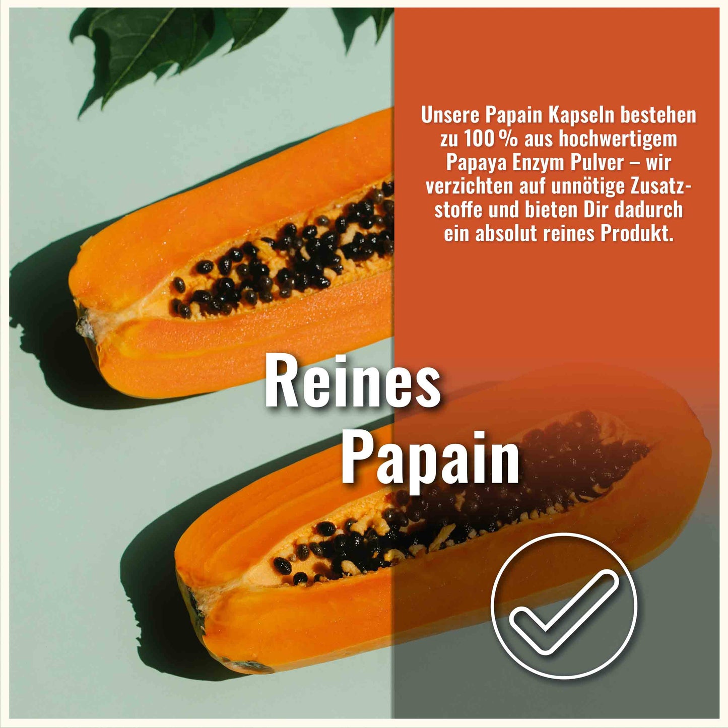 Papain Kapseln