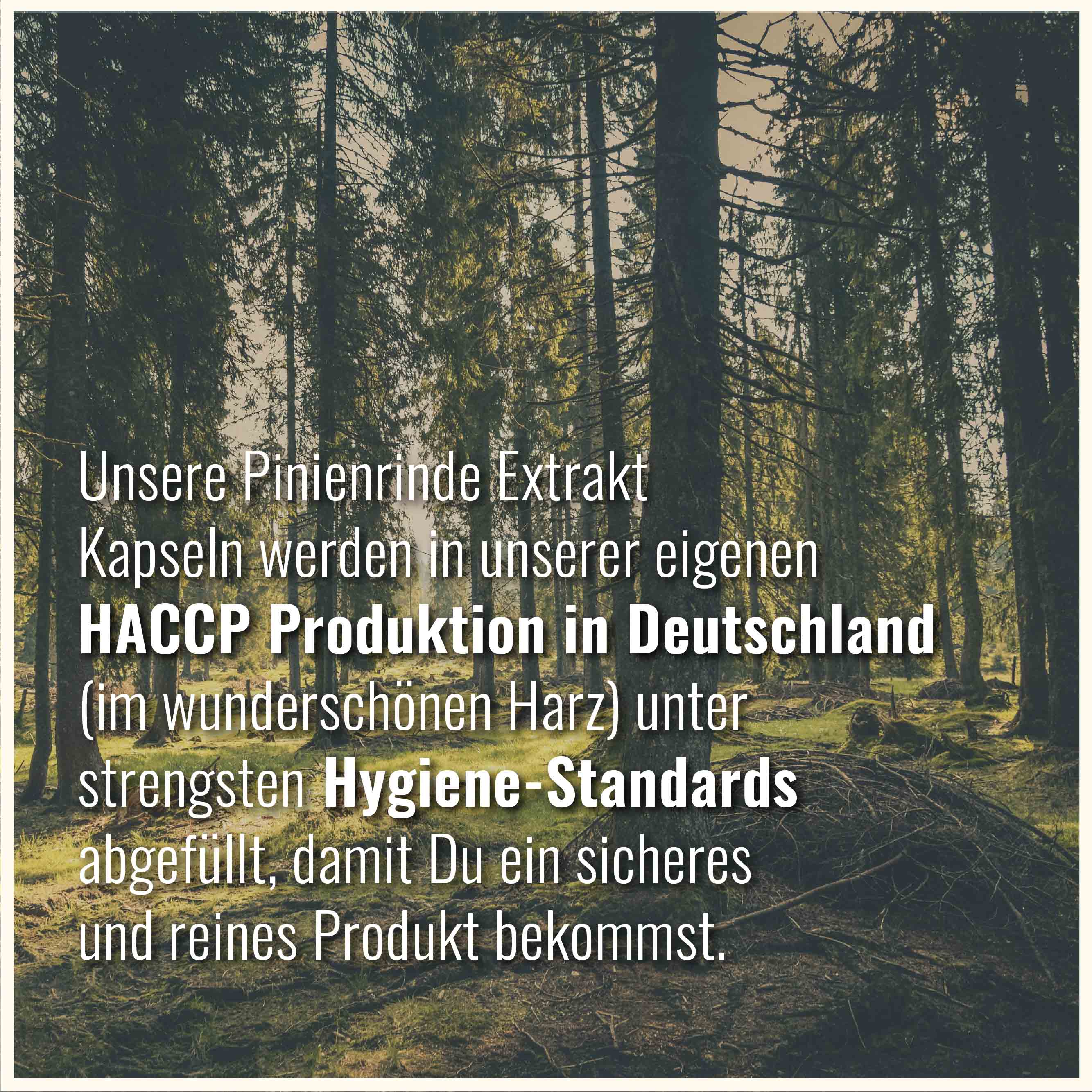 Pinienrinde Extrakt Kapseln