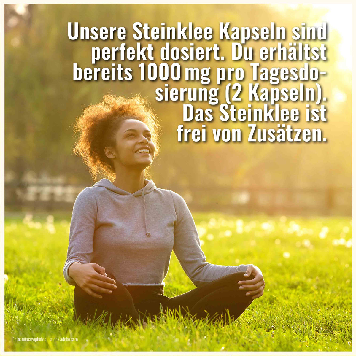 Steinklee Kapseln