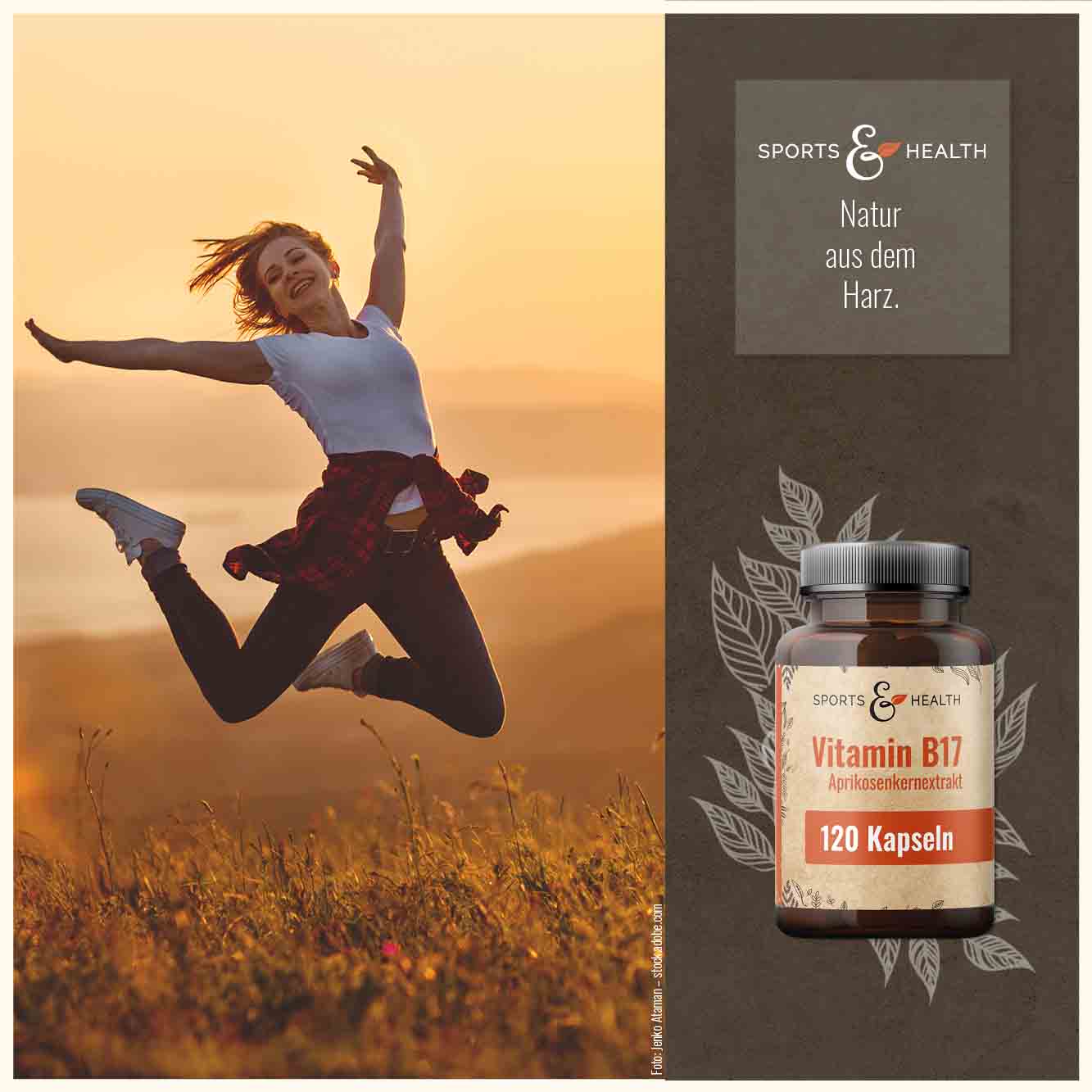 Vitamin B17  Aprikosenkernextrakt Kapseln