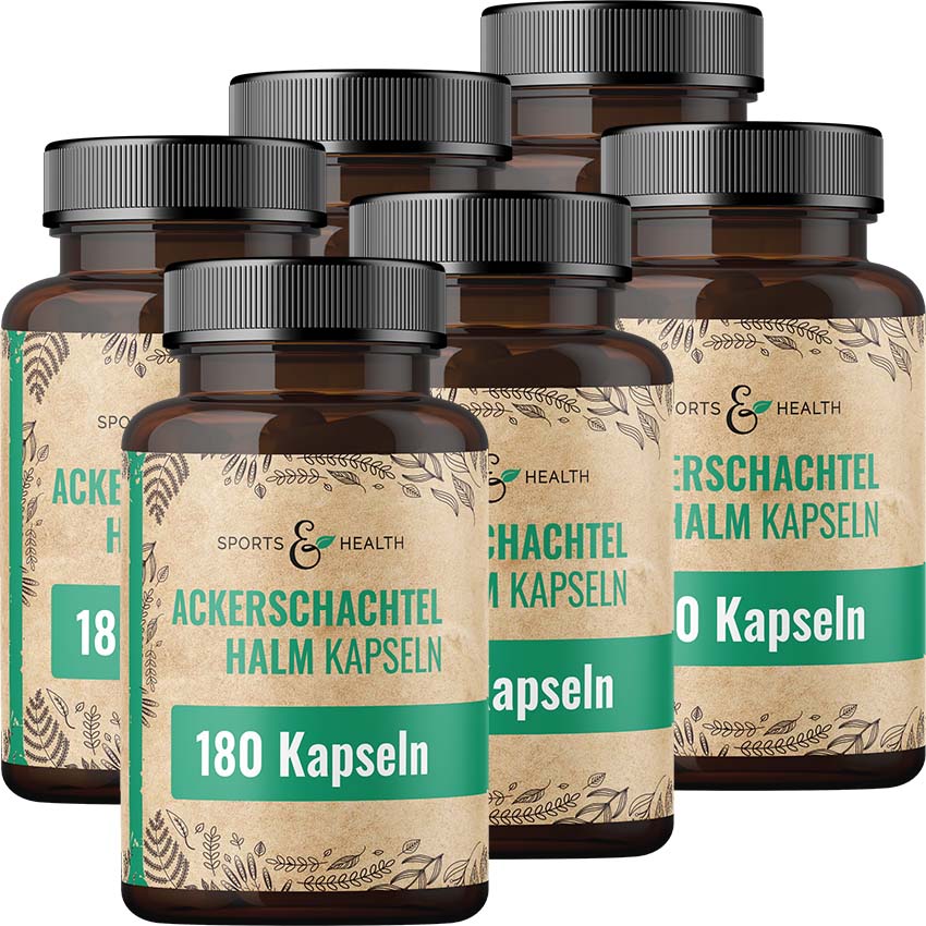 Ackerschachtelhalm Kapseln