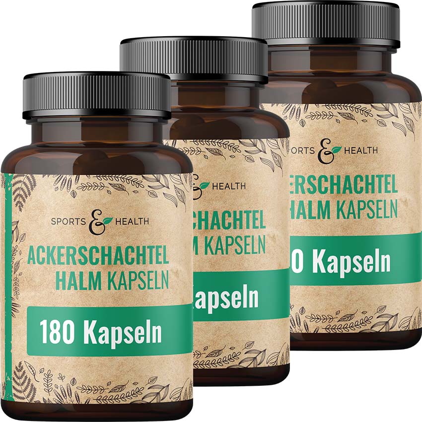 Ackerschachtelhalm Kapseln