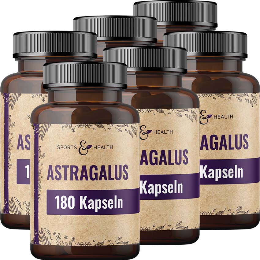 Astragalus Kapseln