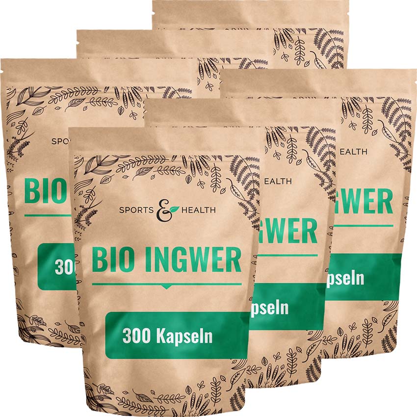 Bio Ingwer Kapseln - DE-ÖKO-005