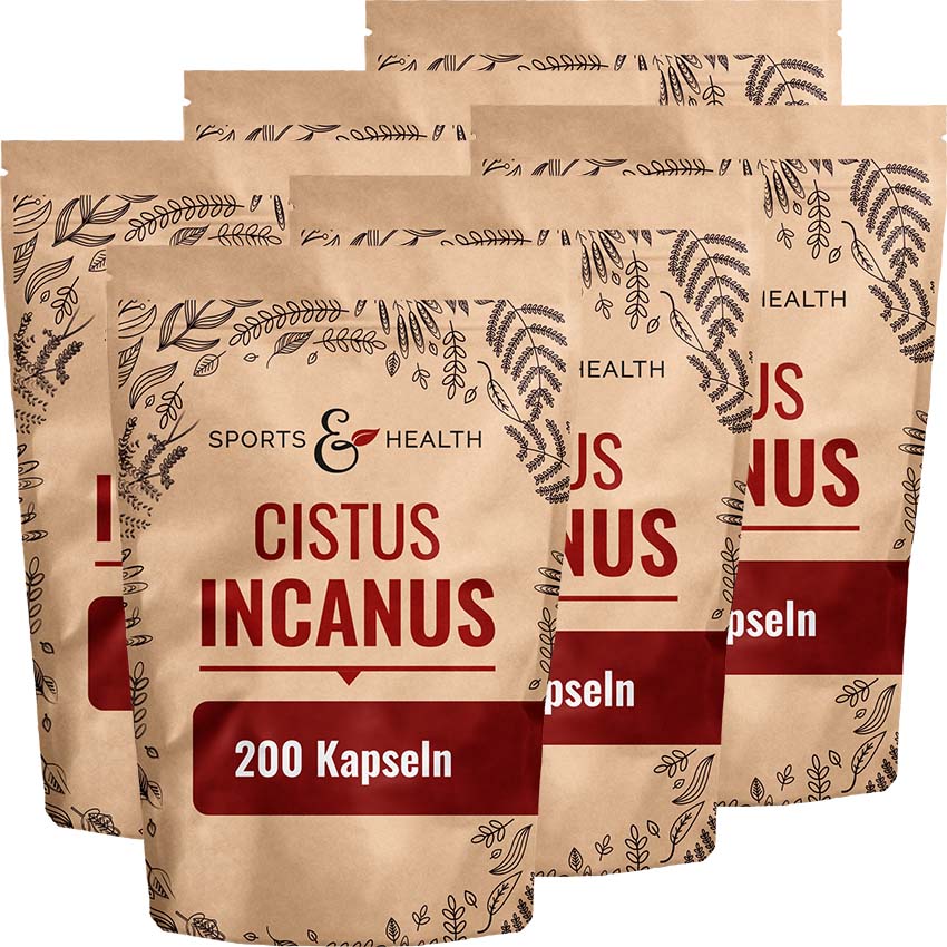 Cistus Incanus Kapseln