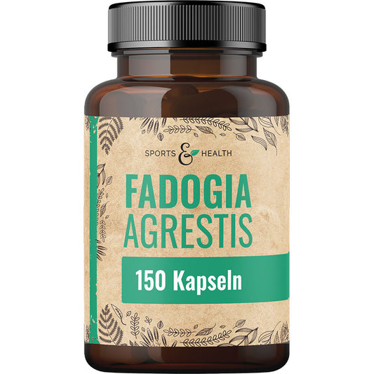 Fadogia Agrestis Kapseln
