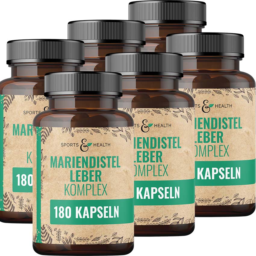 Mariendistel Leber Komplex