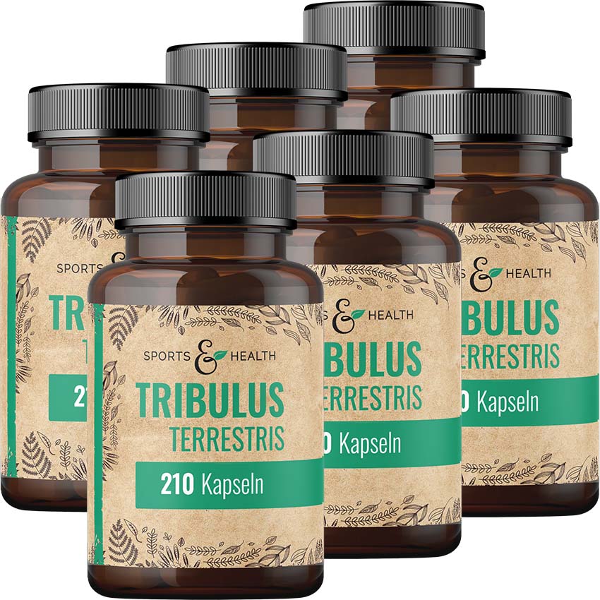 Tribulus Terrestris Kapseln