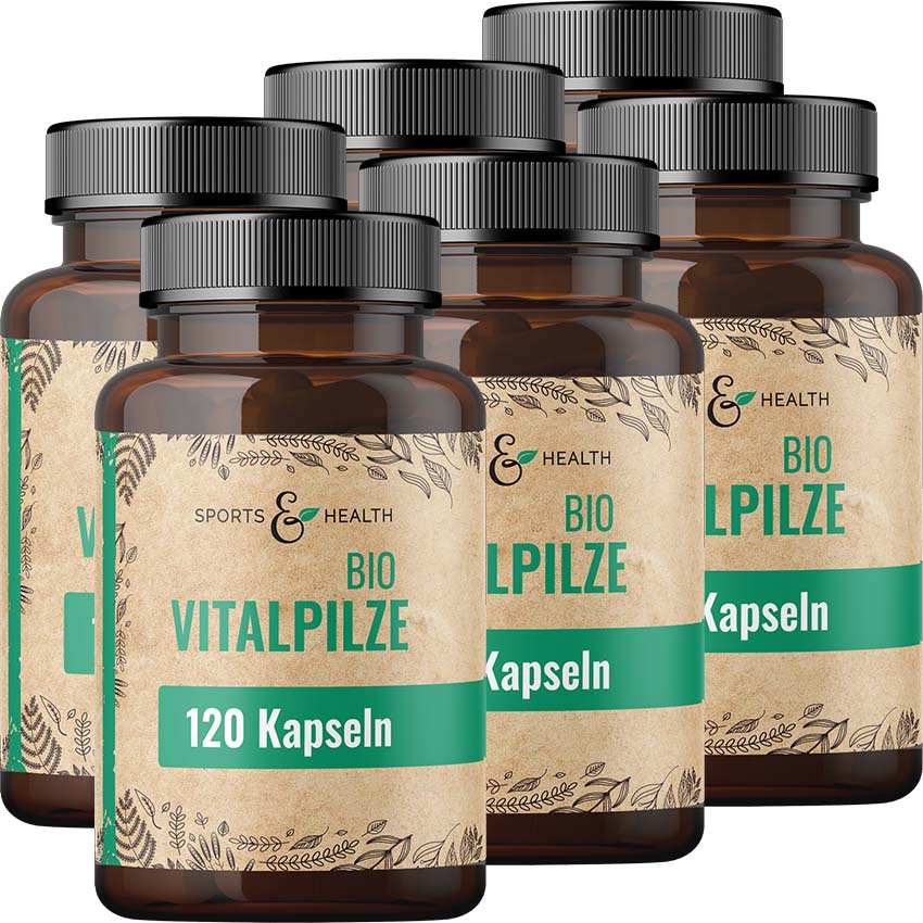 Bio Vitalpilze Kapseln DE-ÖKO-005