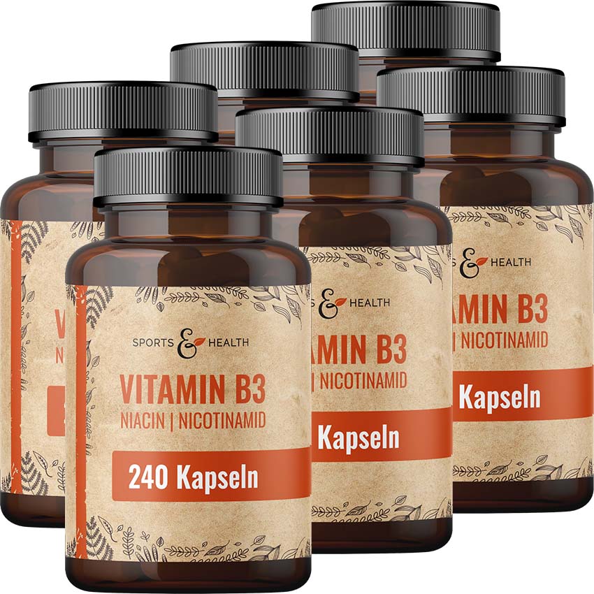 Vitamin B3 Niacin Kapseln