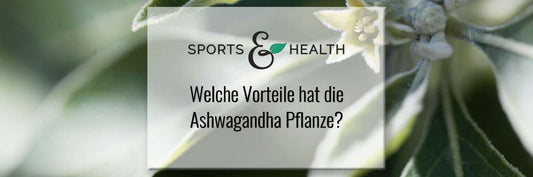 Was ist Ashwagandha und welche Vorteile bringt die Pflanze mit sich?