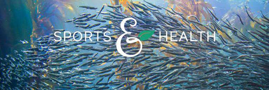 Bio Kelp macht uns sprachlos – so viele Vitamine in einer Meerespflanze!