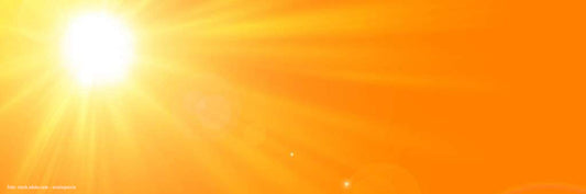 Vitamin D – Ein Vitamin mit zentraler Schlüsselrolle im Körper