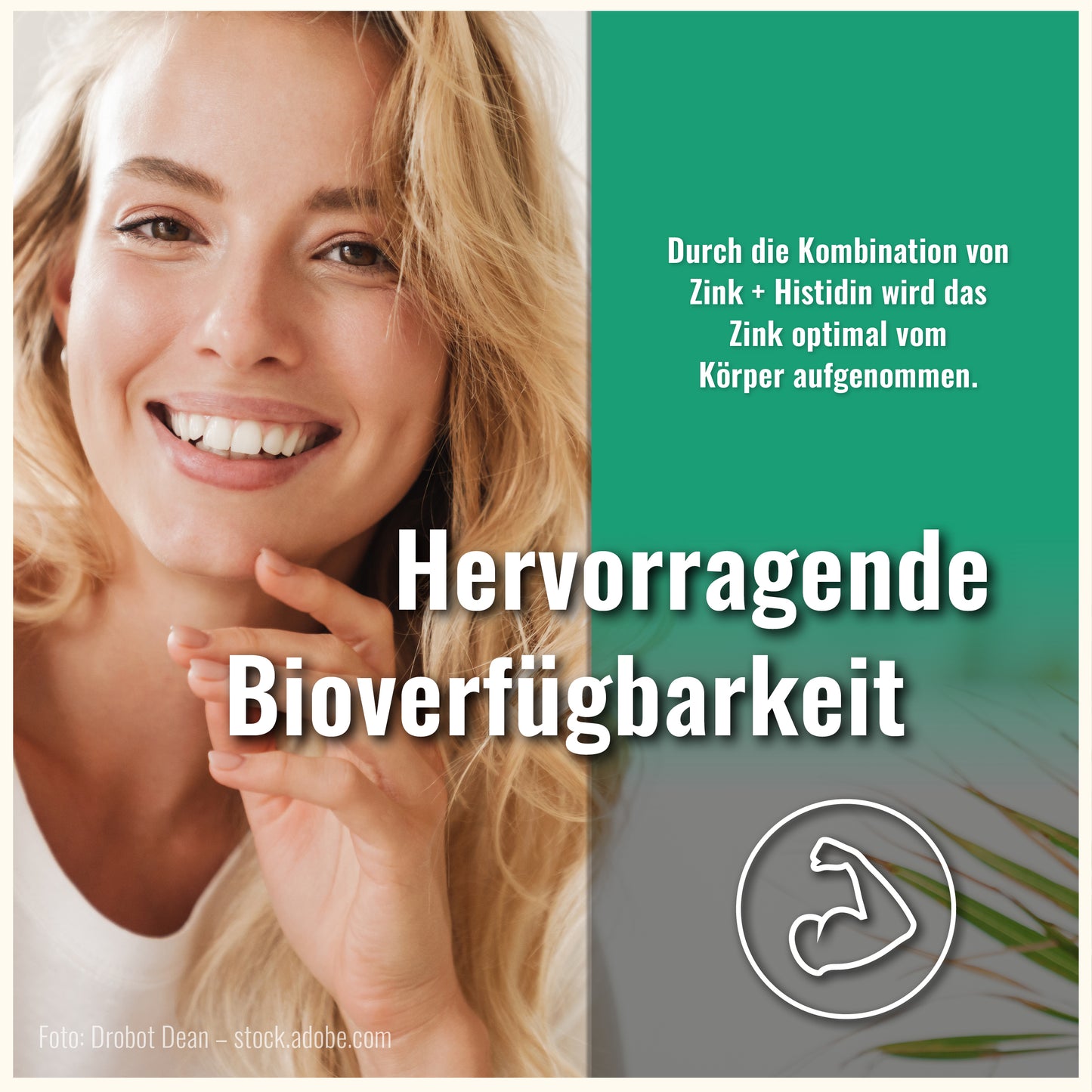 Zink + Histidin Kapseln