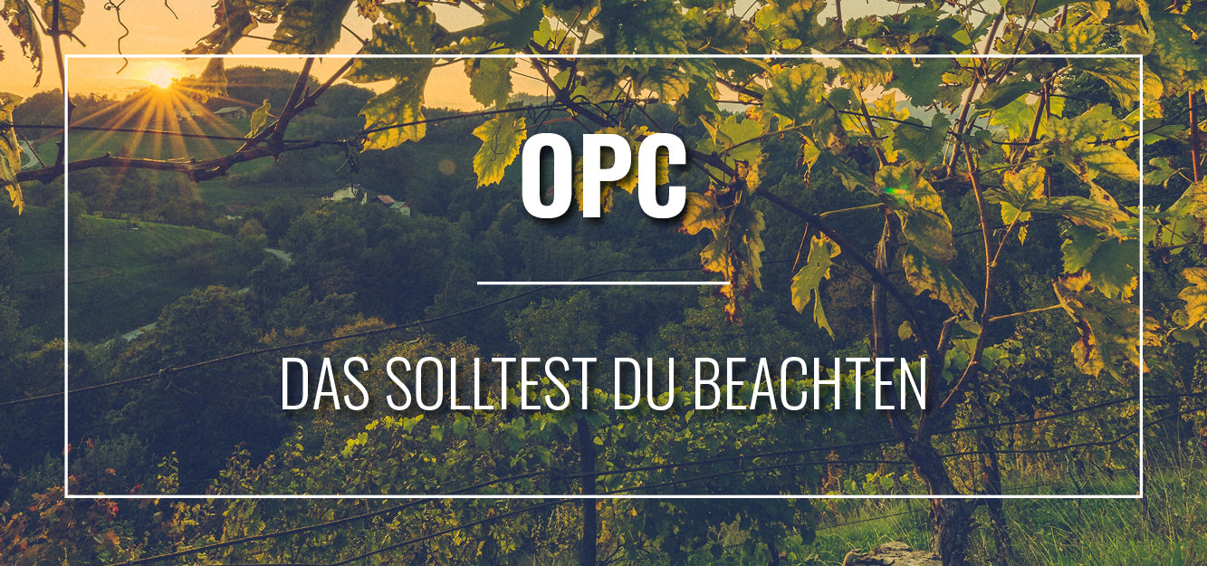 Video laden: OPC das solltest du beachten