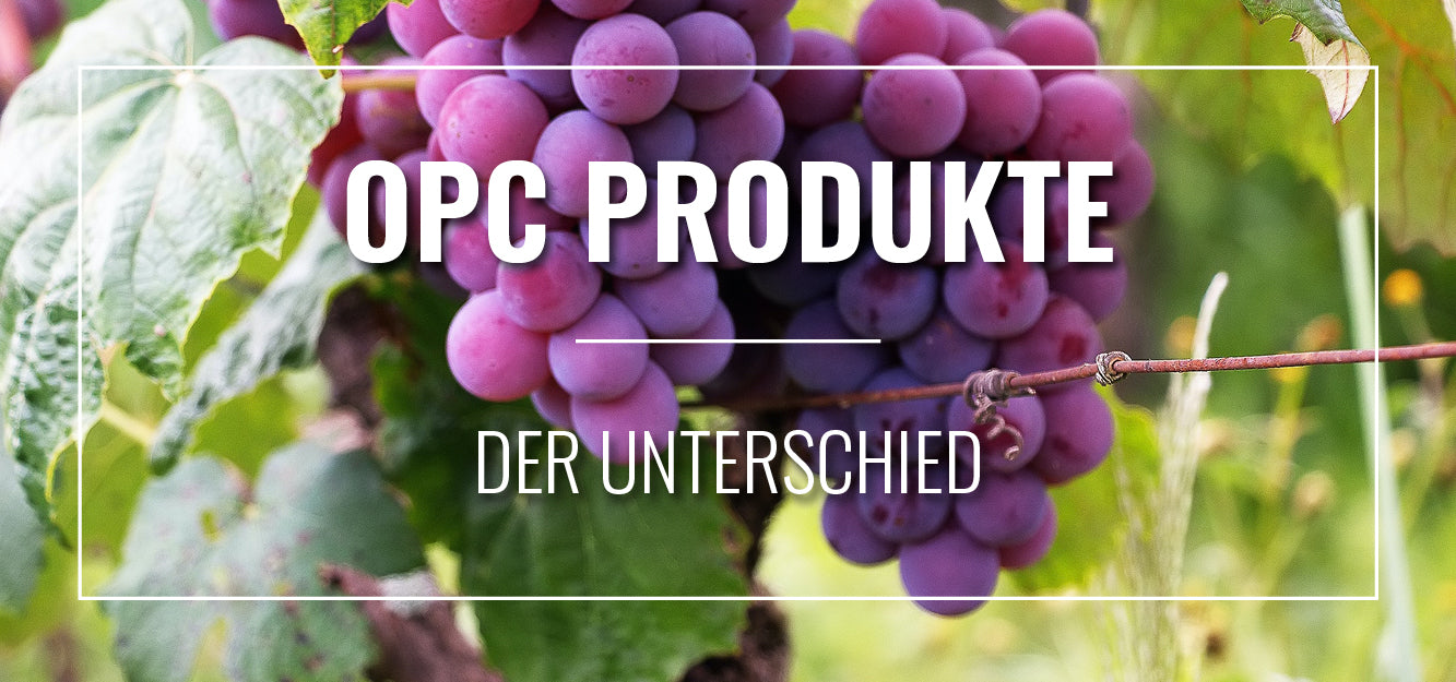 Video laden: OPC Produkte der Unterschied