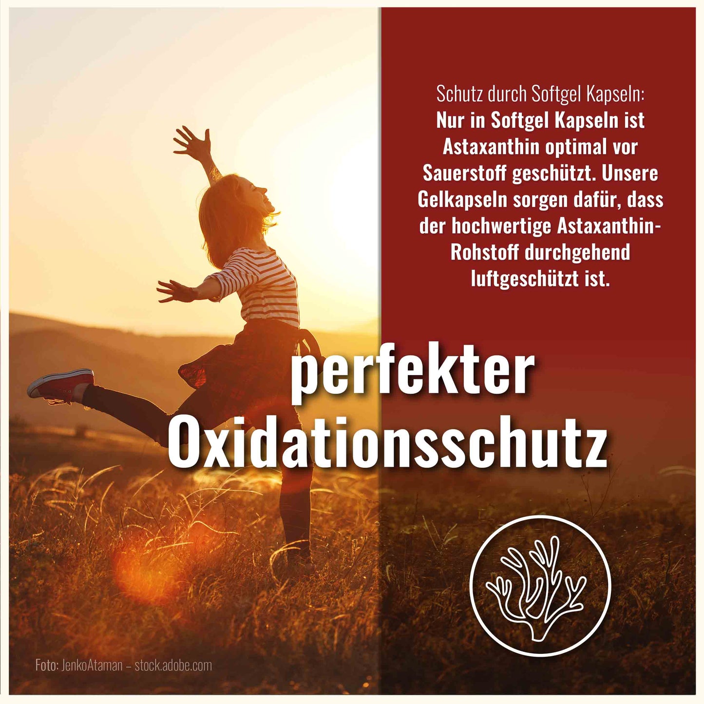 Astaxanthin 12 mg  Hochdosiert