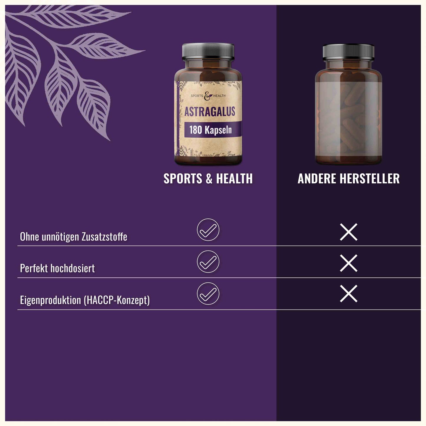 Astragalus Kapseln