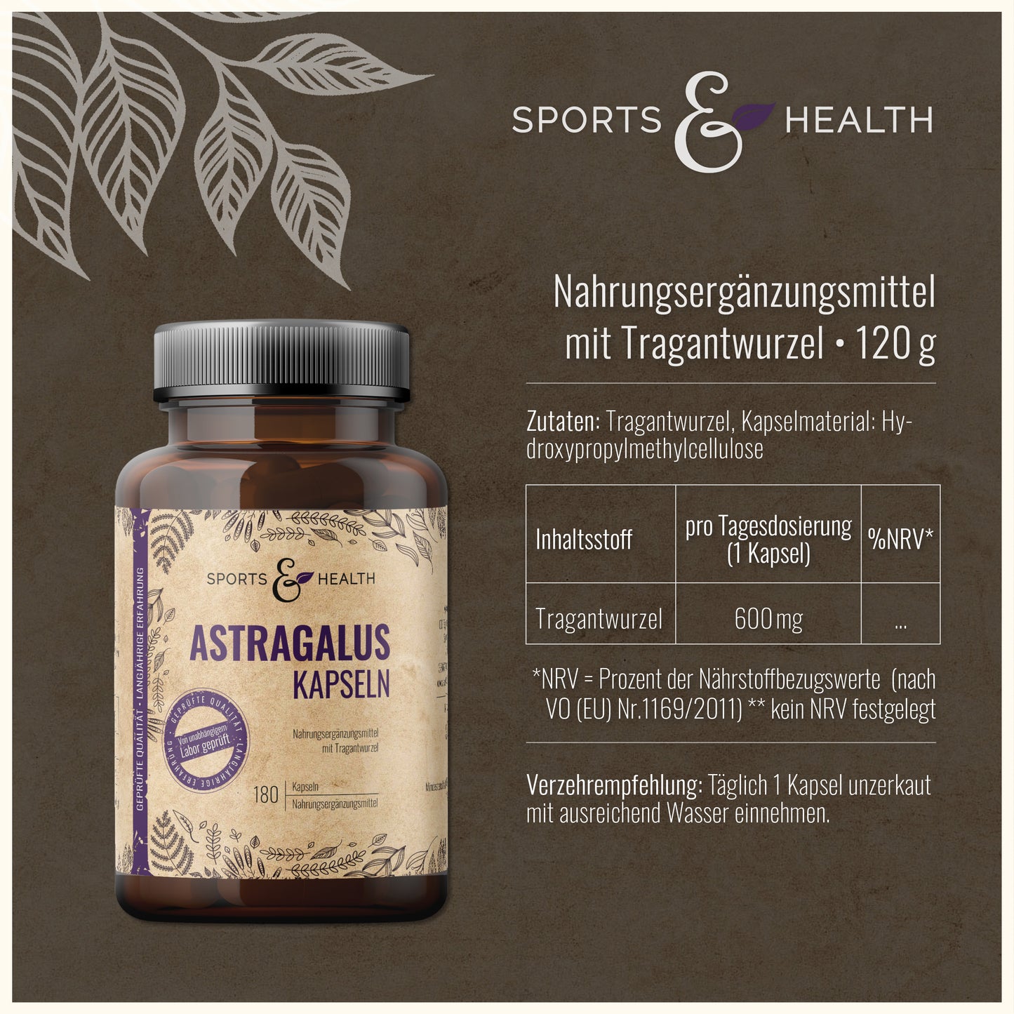 Astragalus Kapseln