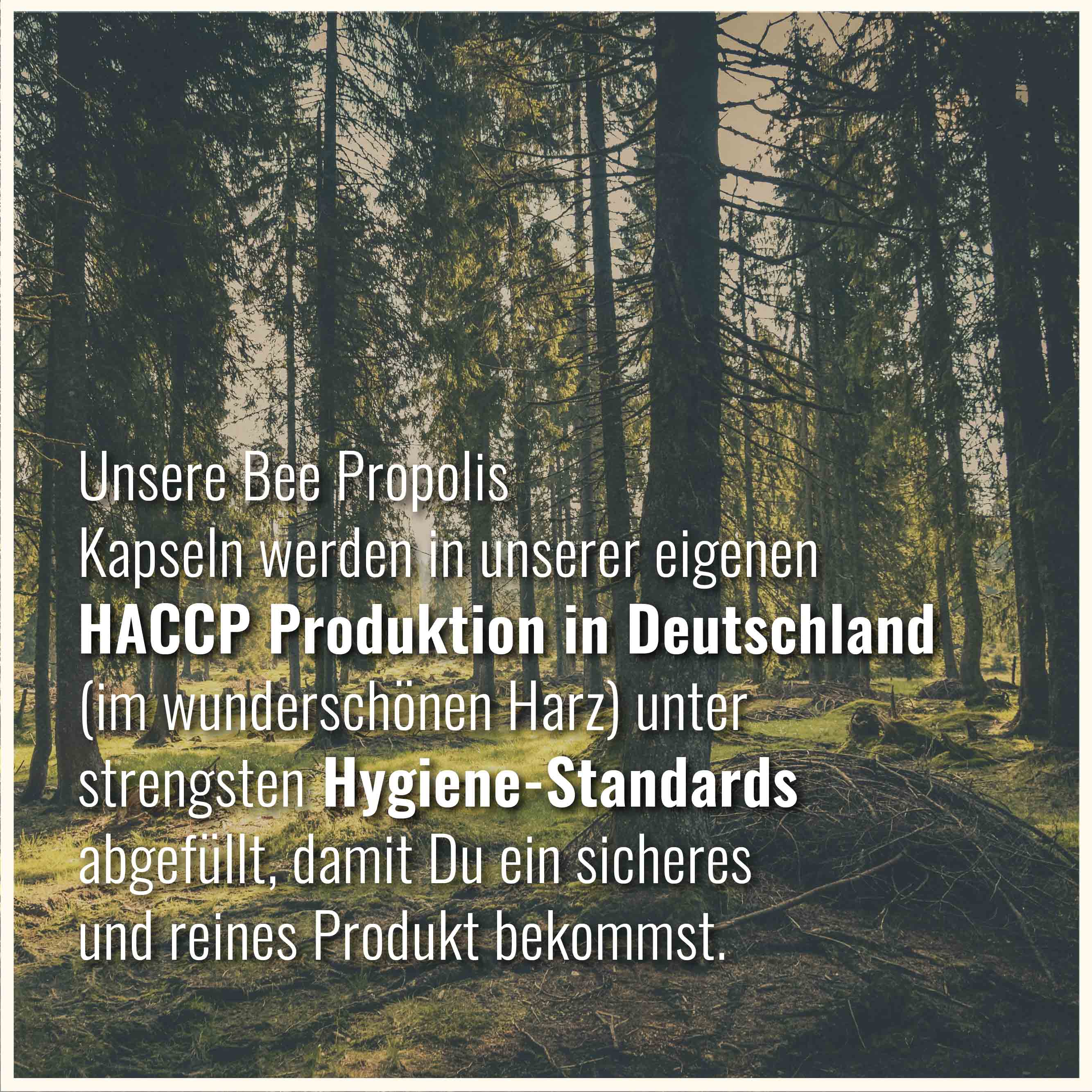 Bee Propolis Kapseln