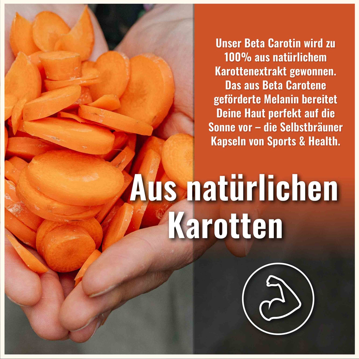 Beta Carotin Kapseln