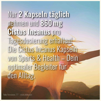 Cistus Incanus Kapseln