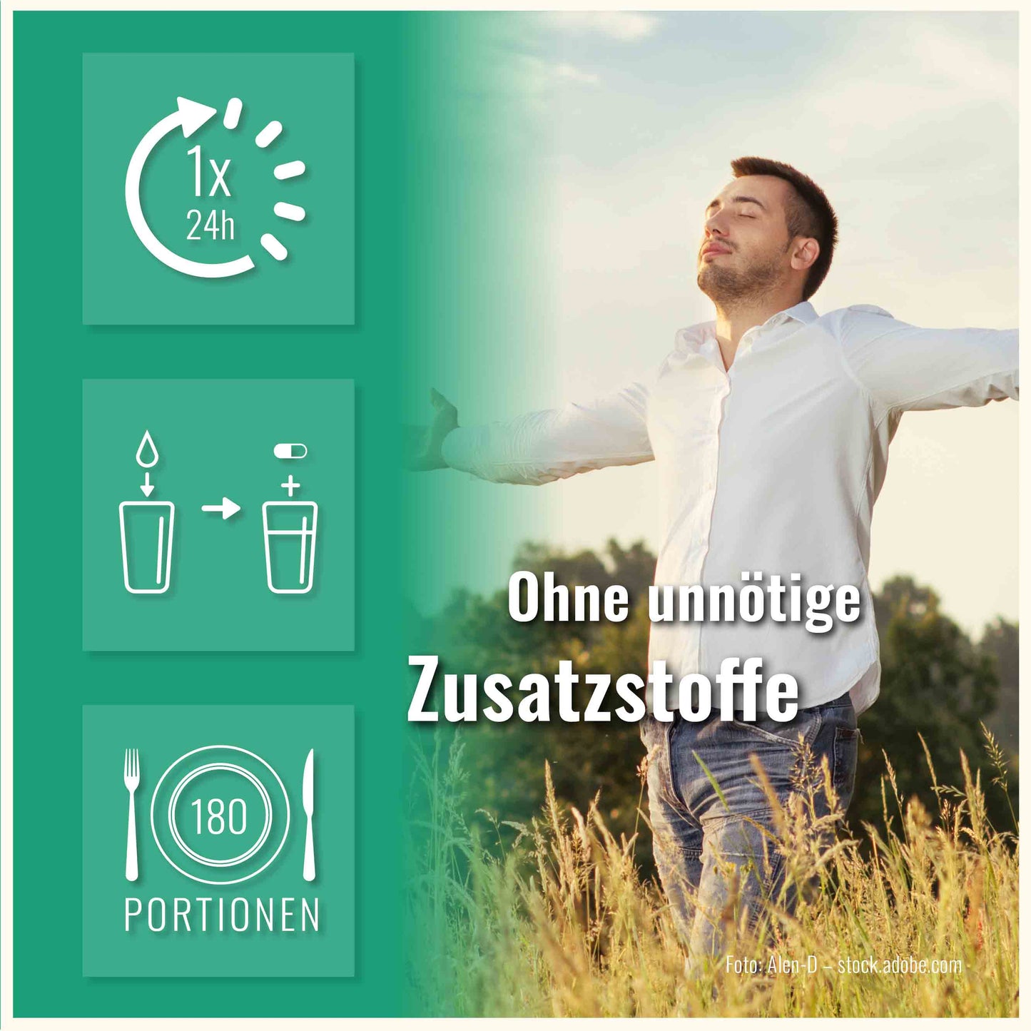 Löwenzahn Kapseln