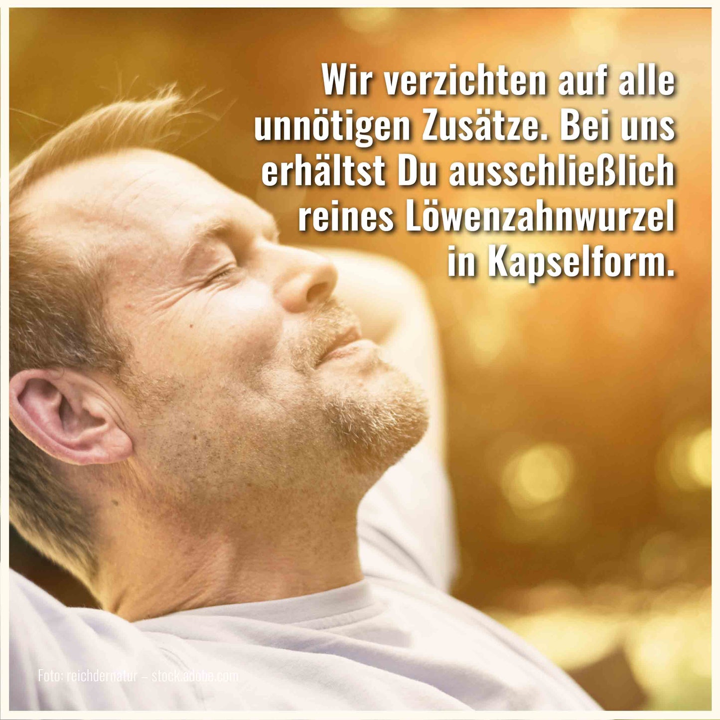 Löwenzahn Kapseln
