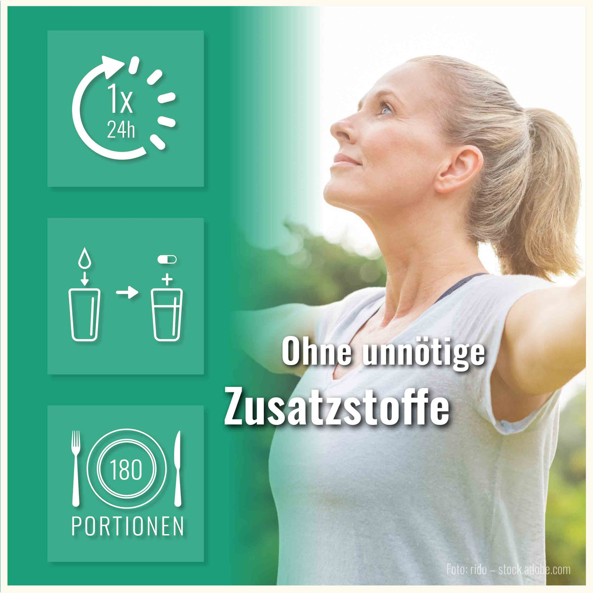 Mariendistel Leber Komplex