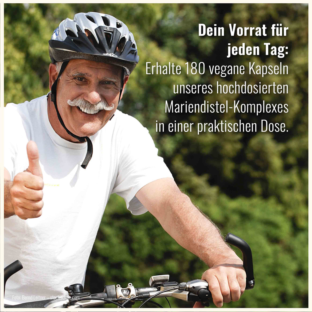 Mariendistel Leber Komplex