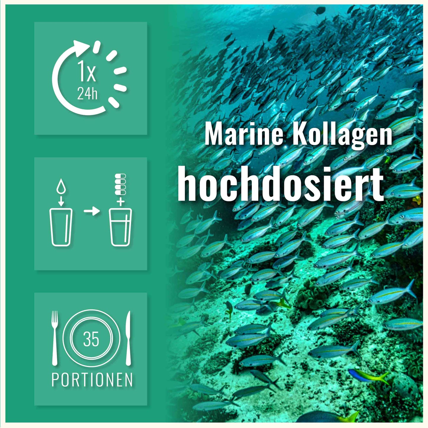 Marine Kollagen Kapseln
