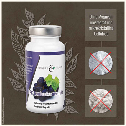 OPC Traubenkernextrakt  Kapseln - 350 mg reines OPC