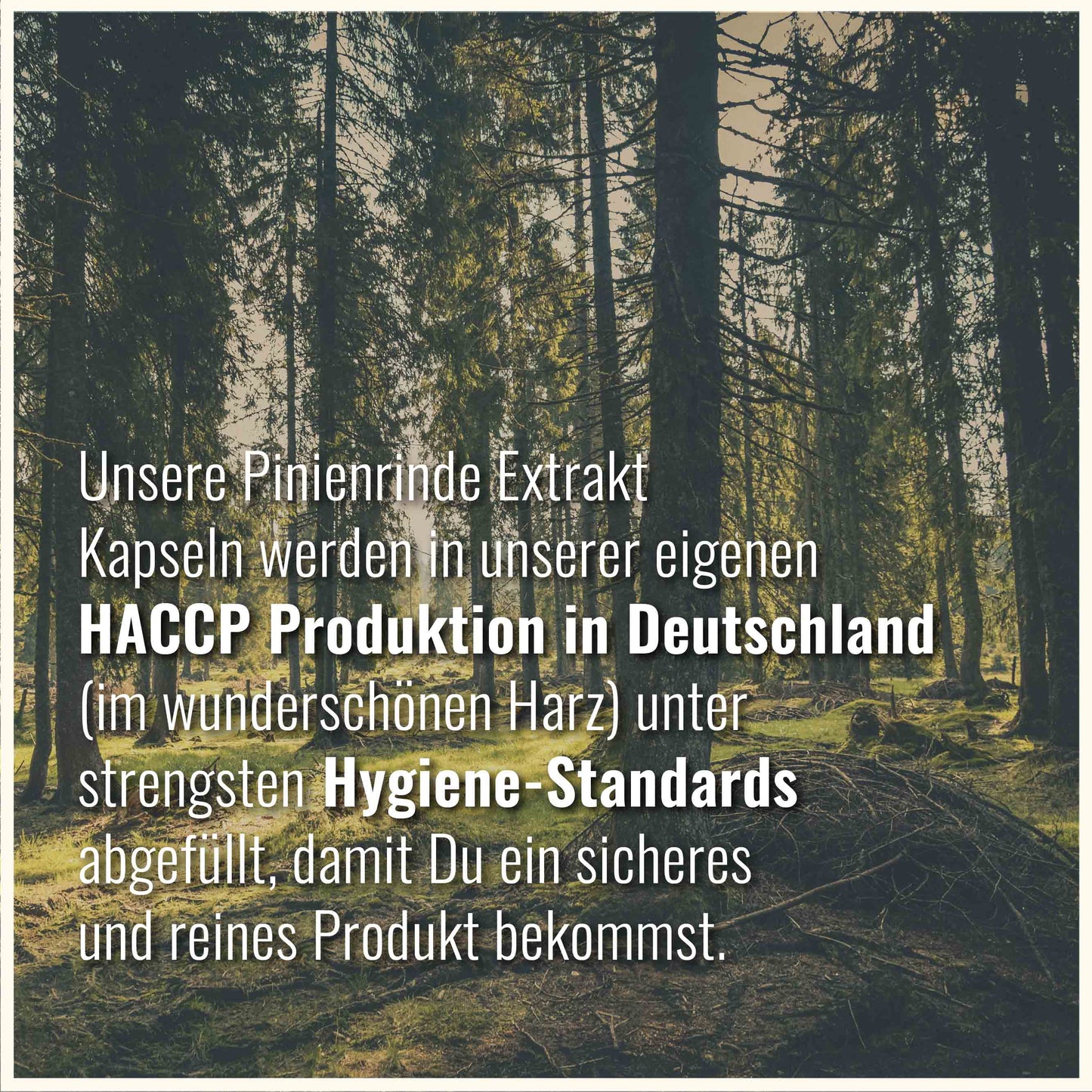 Pinienrinde Extrakt Kapseln