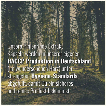 Pinienrinde Extrakt Kapseln