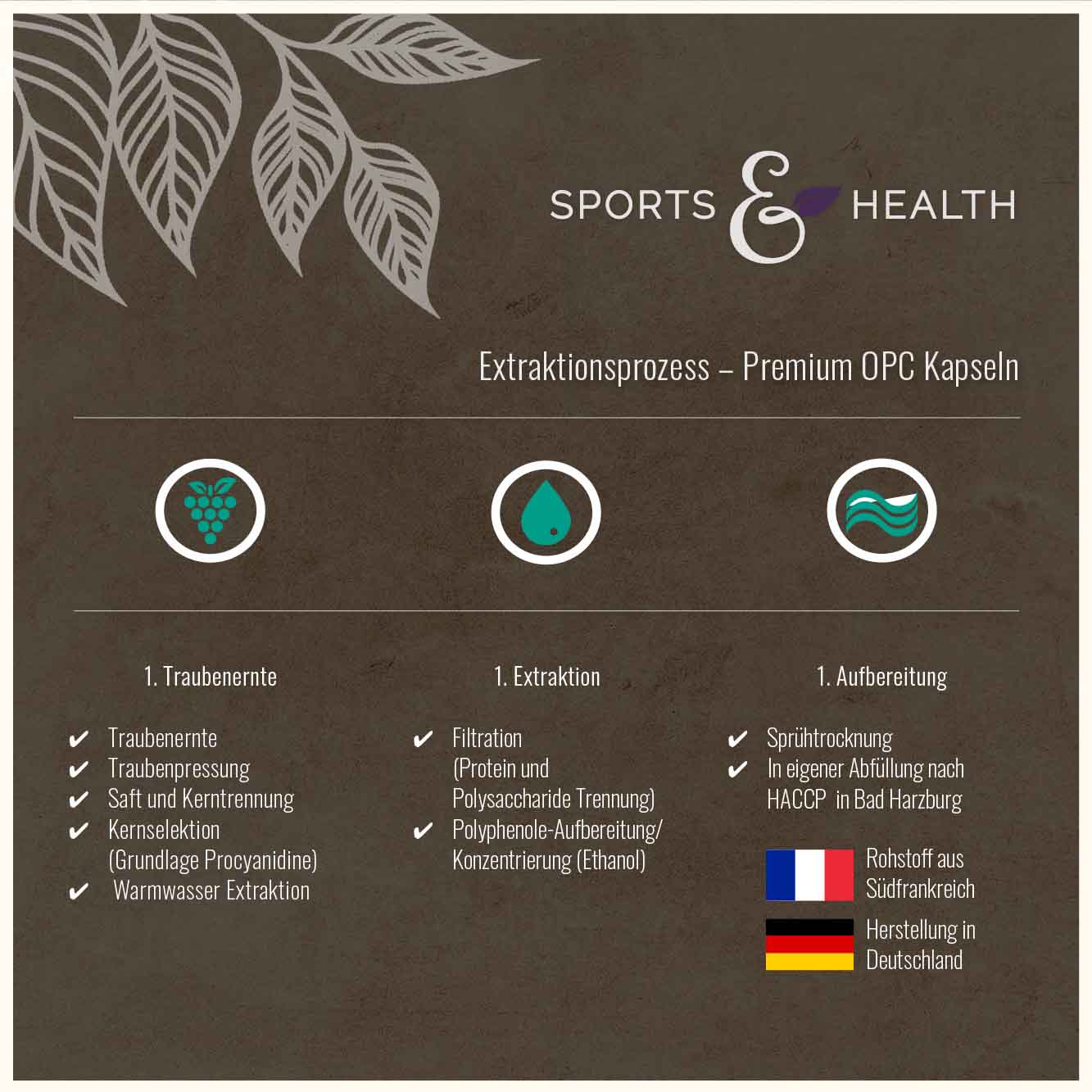 Premium OPC  Traubenkernextrakt -  300 mg aus Frankreich