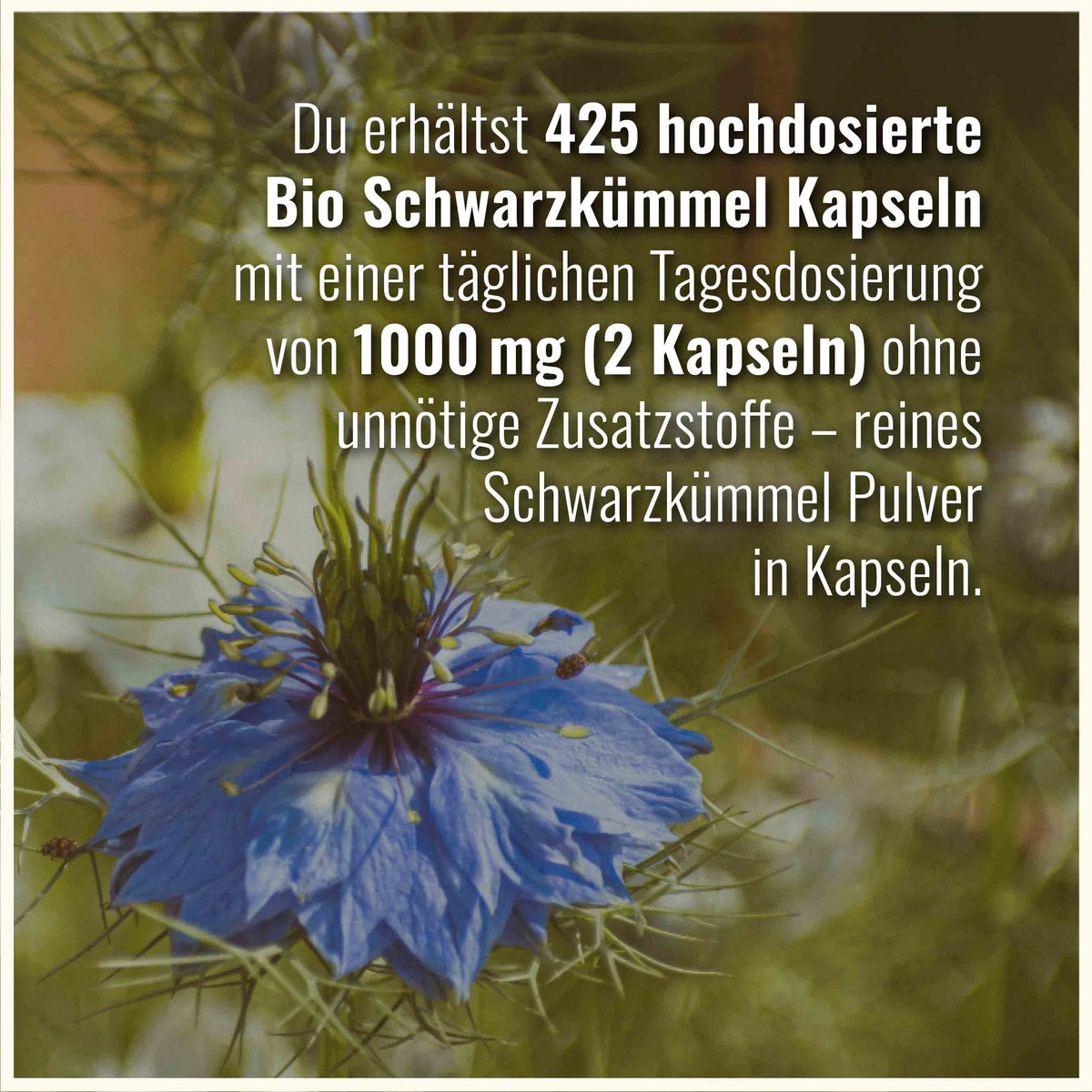 Bio Schwarzkümmel Kapseln