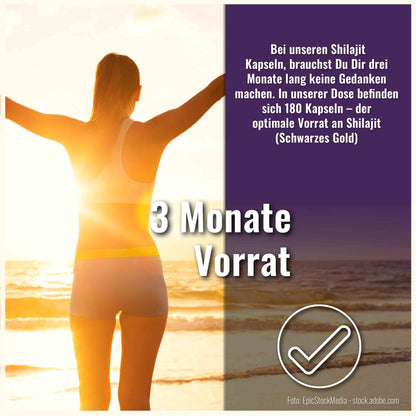 Shilajit Kapseln